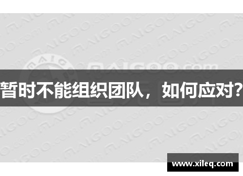 暂时不能组织团队，如何应对？